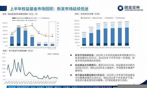 基金投资策略与市场前景分析(基金投资的策略总结)