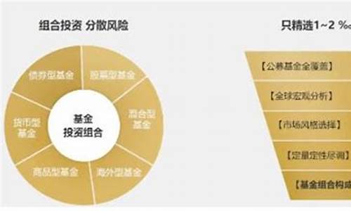 国际投资组合管理中的财务风险控制-第1张图片-www.808455.com